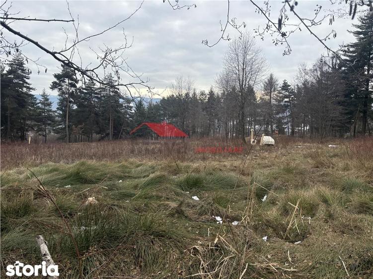 Teren cu 2 izvoare, Prundul Bargaului - 1