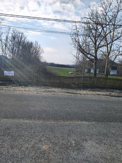 Teren intravilan de vanzare in comuna Pomi - 3