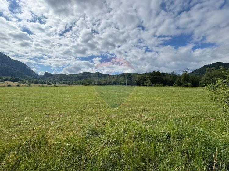 Teren de vanzare  Intravilan 19.341 mp - Cheile Rasnoavei, Parcelabil - 15