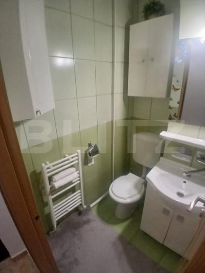 Apartament 2 camere zona Alexandru cel Bun - 19