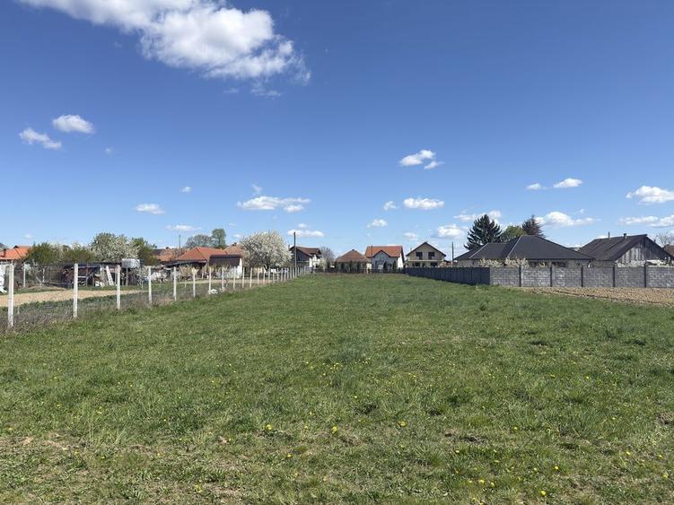 Vand teren intravilan Micula noua - 4