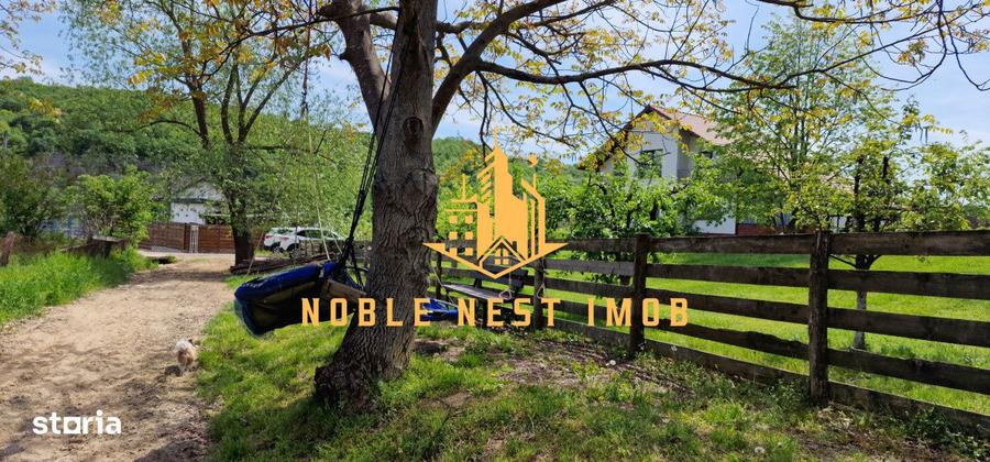 Teren extravilan 2200 mp - Budeasa Mica, Arges - 8