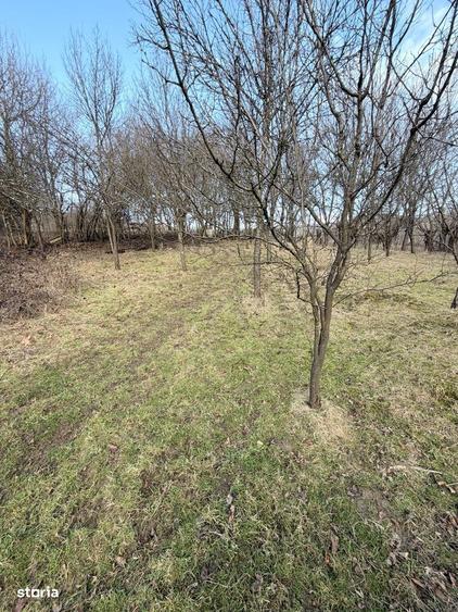 Construie?te casa de vis pe Valea de Argint Vedere spectaculoasa - 4