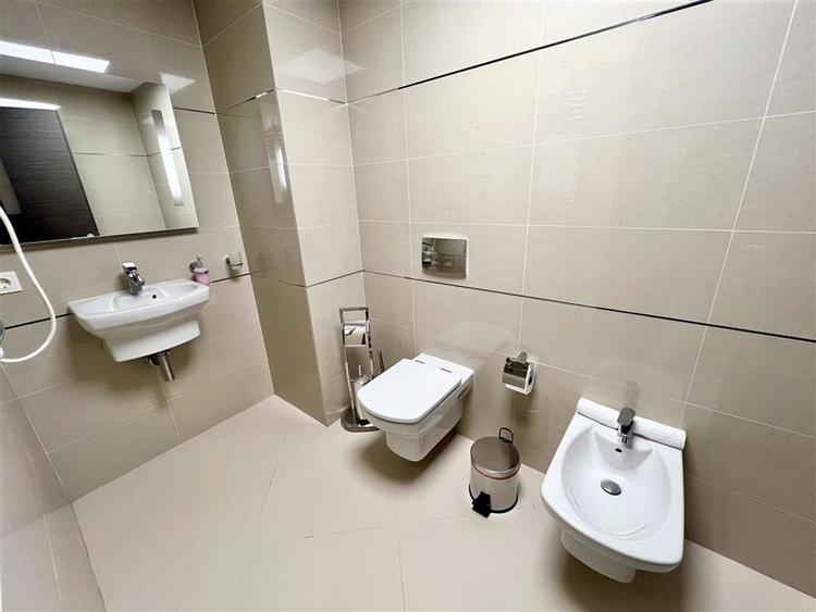 LUX. Penthouse in Silver Mountain - Poiana Brasov - 48