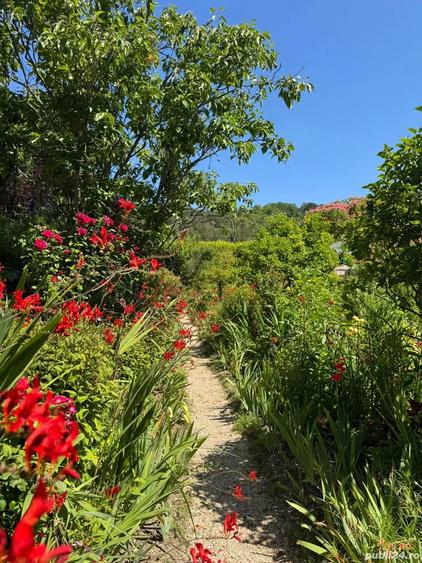 Proprietar- Teren central - 2