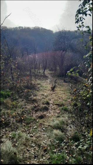 Vand teren intravilan - 3