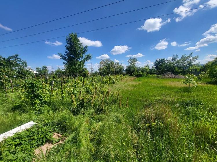 Teren Electricienilor Bacau - 6