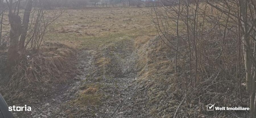 Teren construibil cu proiect casa in Feleacu-Cluj - 8