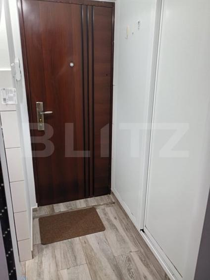 Camera de camin, 17 mp, zona Nicolina - 3