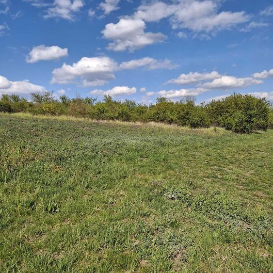 Teren Intravilan Oradea 1000 m2 Zona Nicolae Beldiceanu - 3