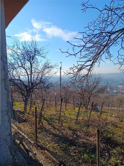 Bucium, Fundac Paun, teren1500mp. intravilan  str asfaltata - 4