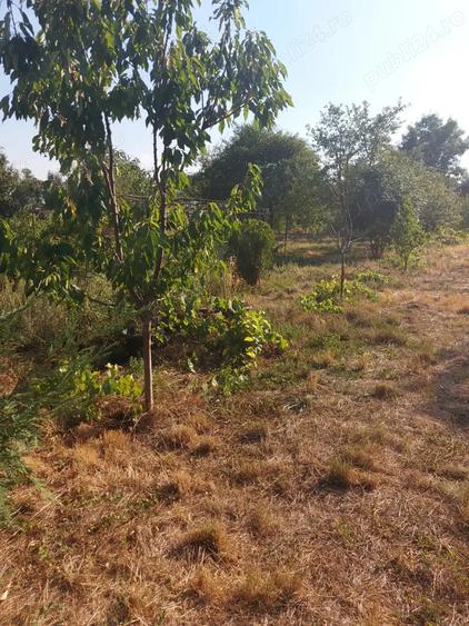 Casa in Petresti(Dambovita) de vanzare - 5