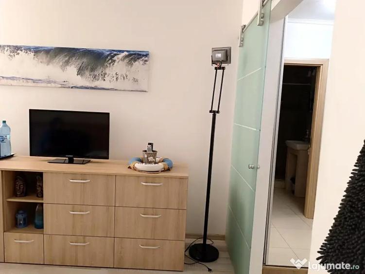 Studio de Inchiriat - 7