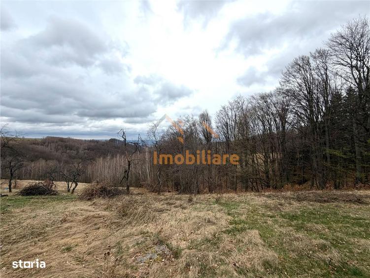Teren 34.000 Mp | Serani Bihor - 2