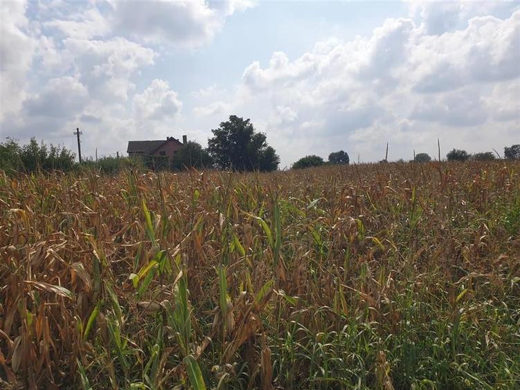 Teren intravilan in Bors cu front la 2 strazi si utilitati - 6