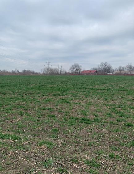 Vanzare Teren extravilan Afumati Autostrada A0 - 2