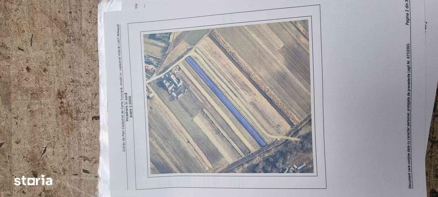 Teren 40 ari intravilan - 3