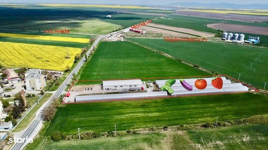 Spațiu comercial, de 10,000 mp, în Horia
