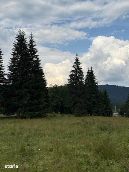 Teren de 2000 mp, în Central