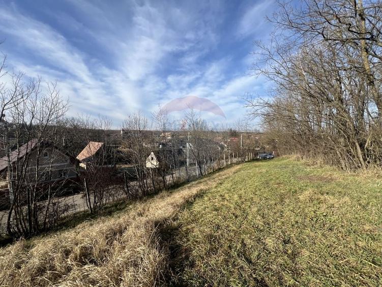 Teren agricol intravilan de 10000 mp, în Bădeni