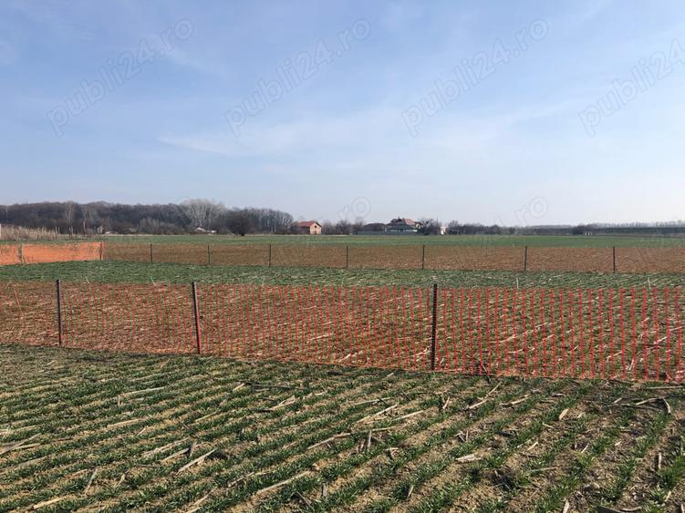 Teren de 622 mp, în Clinceni