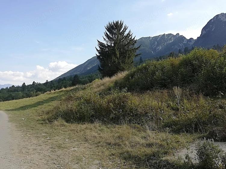 Teren de 4880 mp, în Plaiul Foii