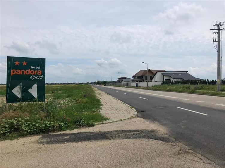 Loturi de vanzare in Focsani - Livada - intravilan - 9