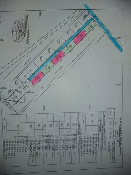 Vand teren intravilan loturi 400 mp CREVEDIA-DARZA 2km de Buftea - 3