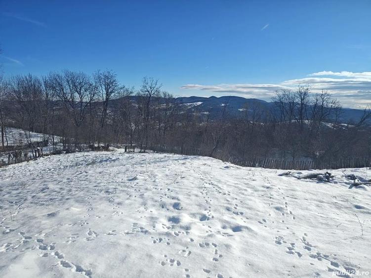 Teren + Casa Batraneasca Sat Serbanesti Salatrucel - 3