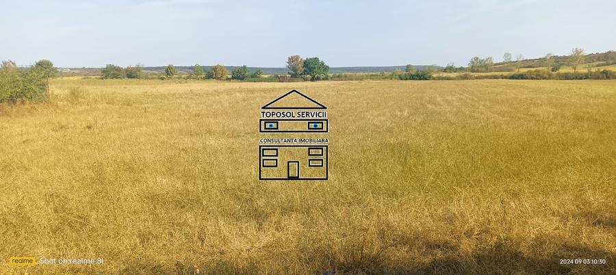 Teren de vanzare in localitatea Husasau de Tinca - 3