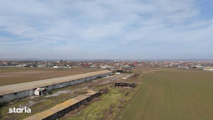 VAND sau INCHIRIEZ FERMA in Salcioara, judet Tulcea - 5
