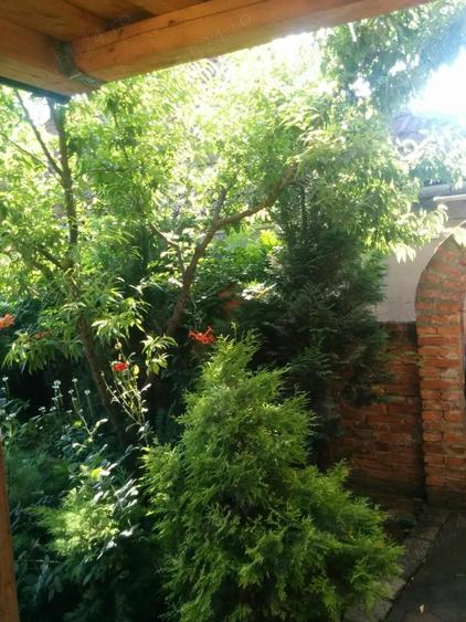 Casa Zona Centrala (Tudor Vladimirescu) - 6