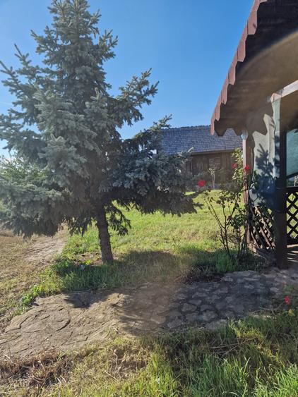 Proprietate de vânzare în Mamaia Sat - 5