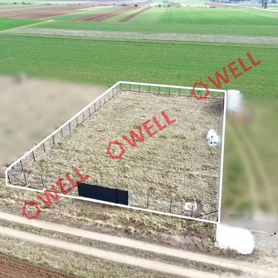 Teren intravilan de vânzare în Angheluș! - 3