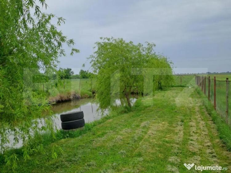 Casa cu teren generos ?i balta de pescuit Gae?ti - 9