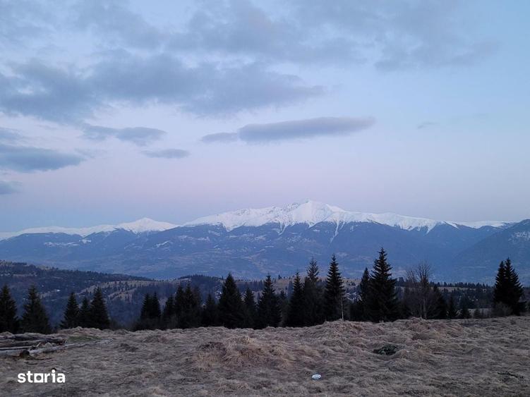 Vand teren 47.8 HA intravilan + extravilan Moisei/Viseu - 1