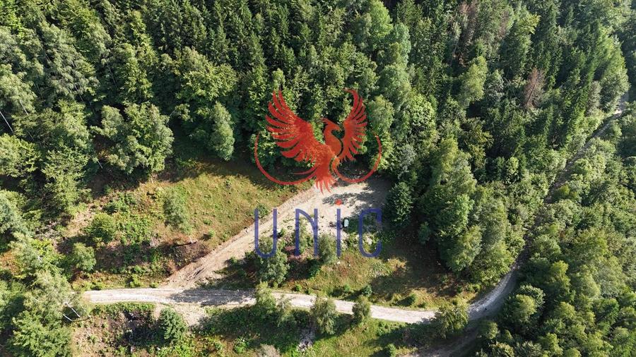 18000 mp de natura pura ,Lupeni, langa Straja - 23