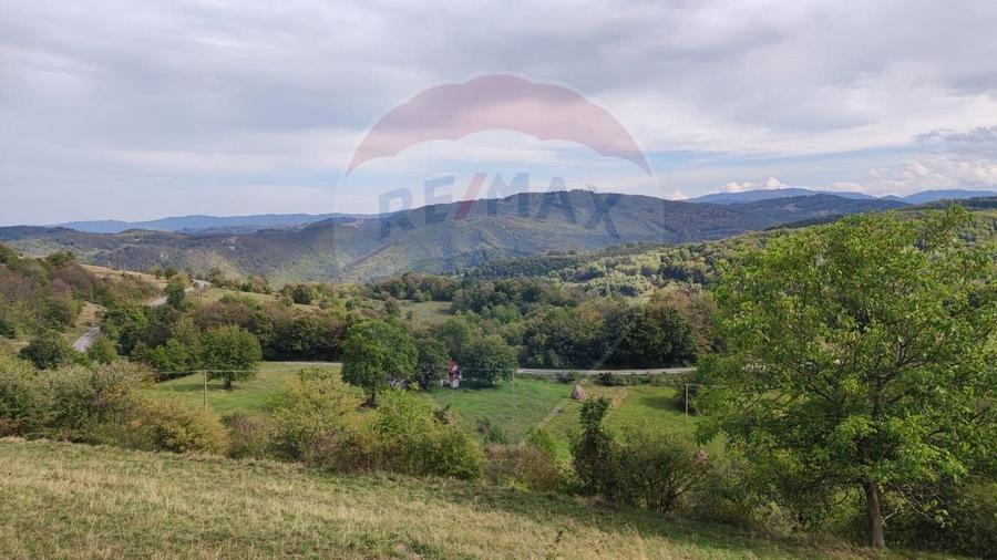 Teren constructii si faneata/livada 3082 mp Damis Bratca drum DJ 764D - 12