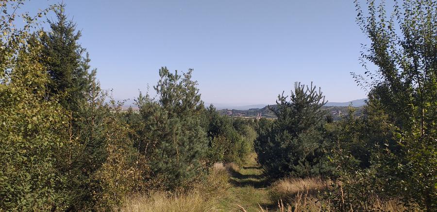 Teren Sacele zona de relaxare pretabil investitie - 4