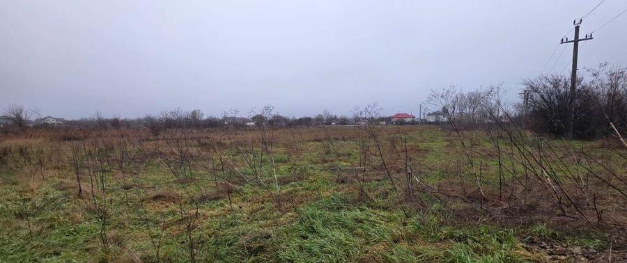 Teren 5000 mp 1 decembrie - strada Oituz - 3