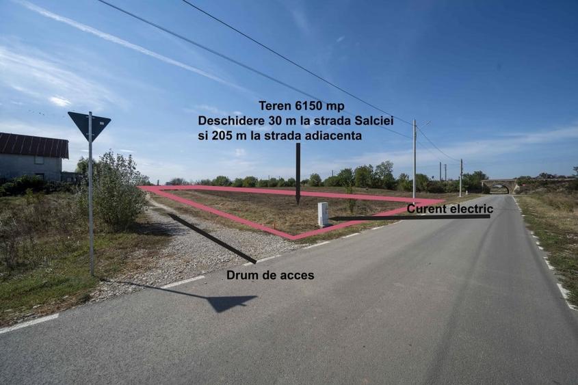 Domnesti, Salciei, Haltei, Ciocarliei, teren 6000 mp, drum asfaltat cu utilitati - 3
