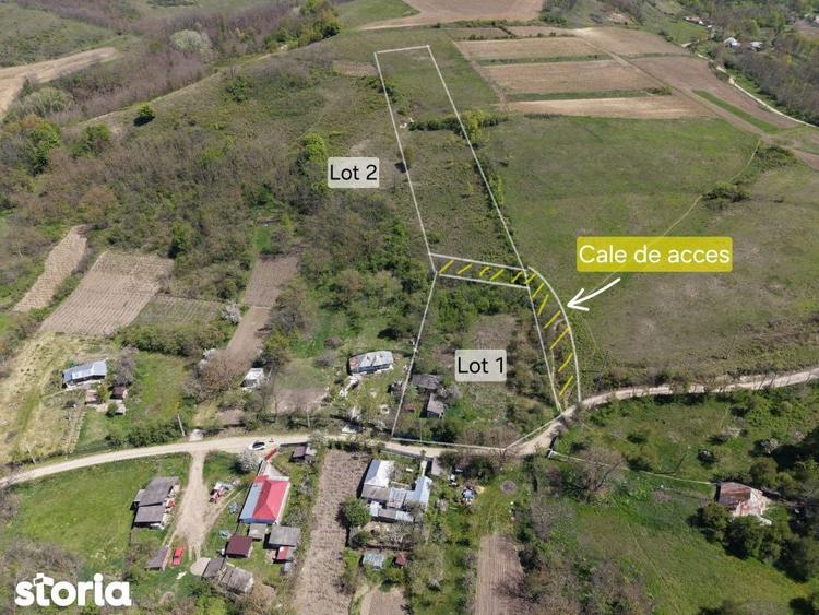 Teren de vanzare + casa in Gorghesti, Bacau 7.391 mp, zona linisti - 2