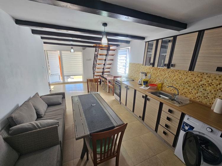 Casa de vacanta Russu Bargaului - 5