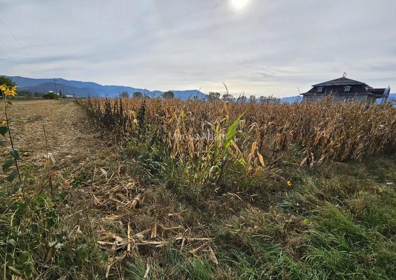 Teren intravilan Hateg