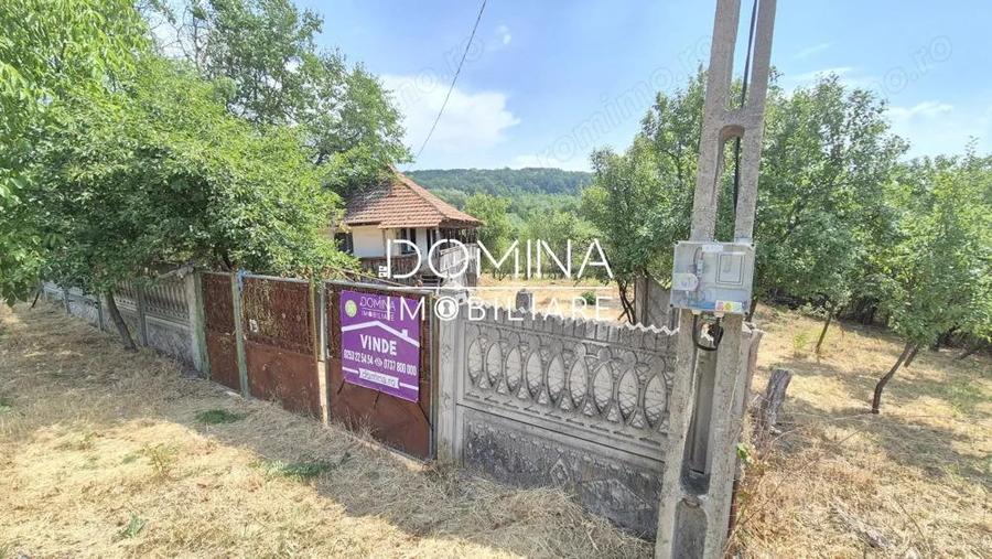 Vanzare casa batraneasca ?i teren in apropiere de complex turistic Mu?ete?ti - 9
