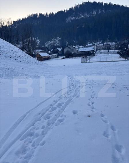 Teren de vanzare in Vorone?, 6000 mp + o casa batranea - 3