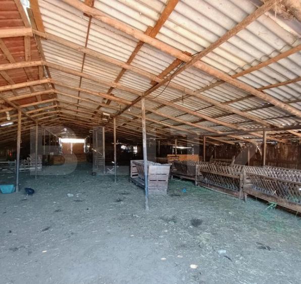 Stana 17.000 mp, Boldesti-Scaeni. - 6