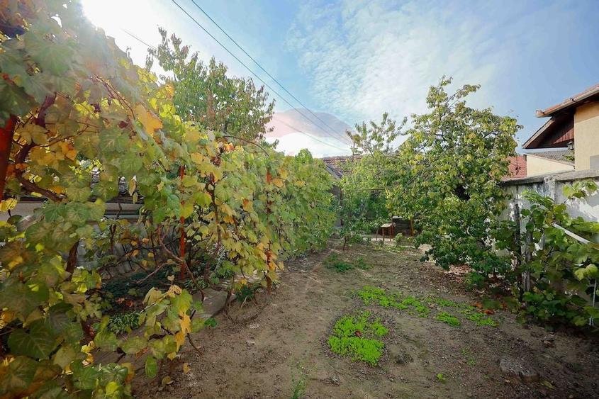 Casă cu 2 camere de vânzare în zona Ioșia Strada Arțarilor - 24