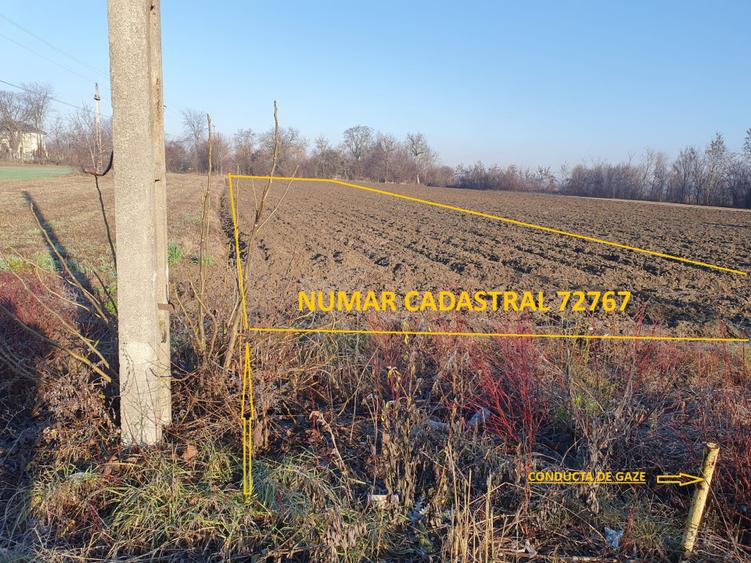 Teren de vanzare intravilan Cornesti Dambovita 2.440 mp  - 2