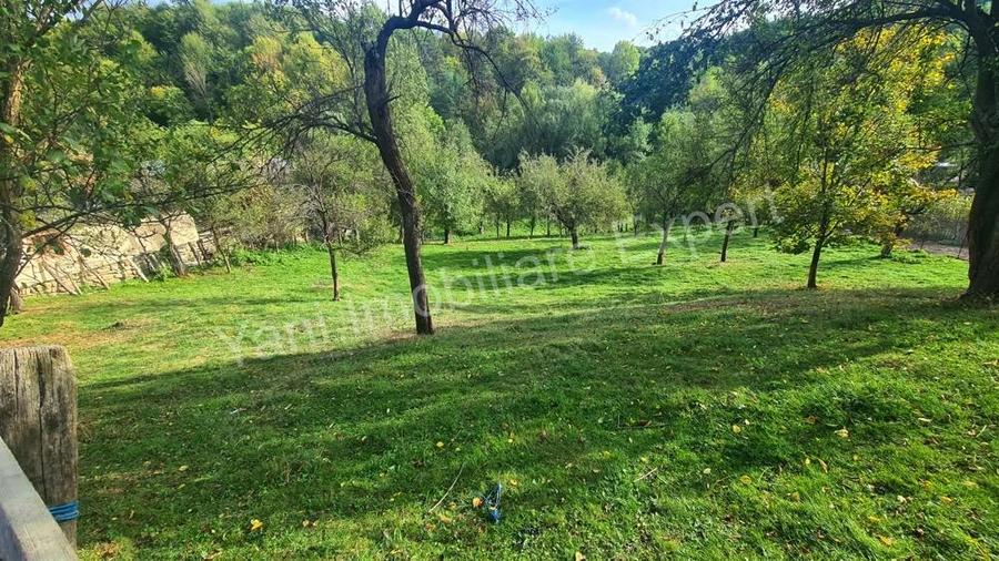 Teren de vanzare in comuna Arefu, sat Arefu, jude? Arge?. - 6